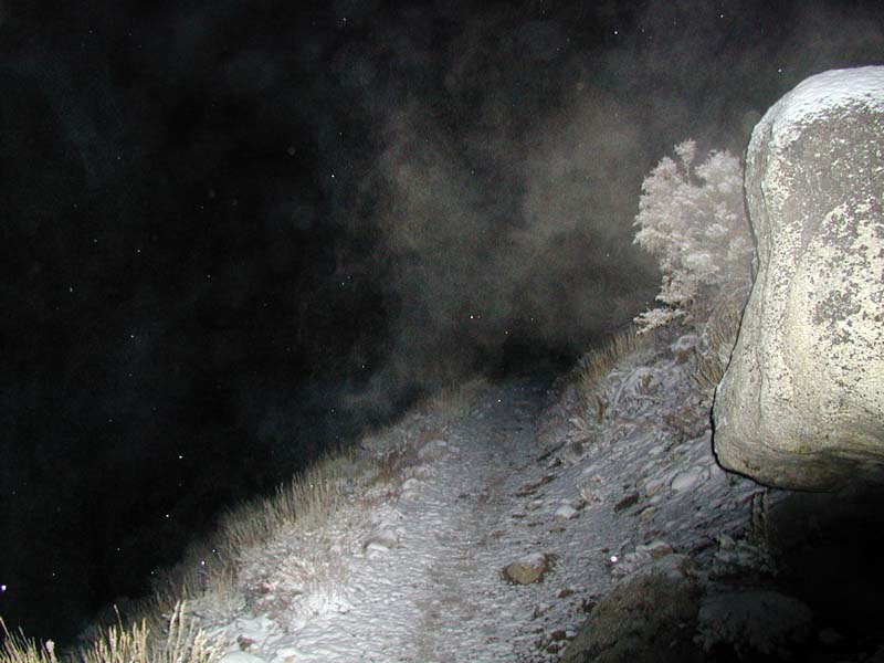 PA310063