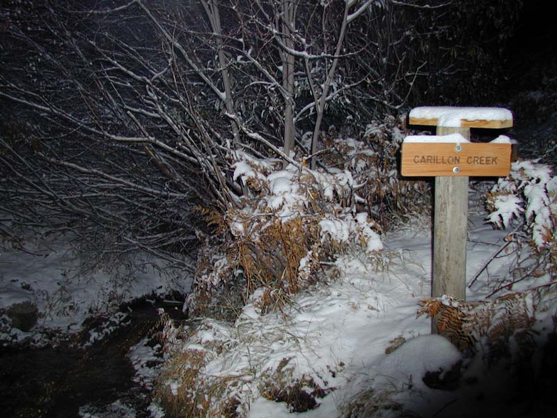 PA310064