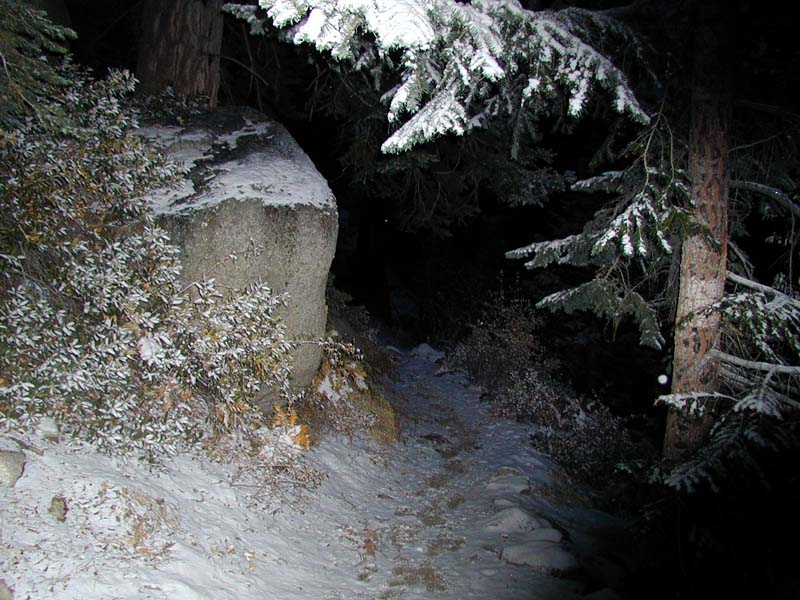 PA310065