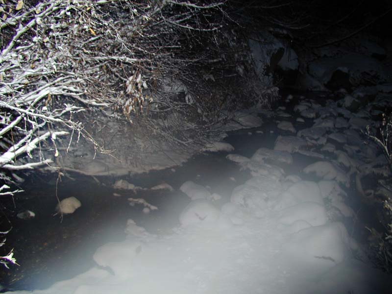 PA310068
