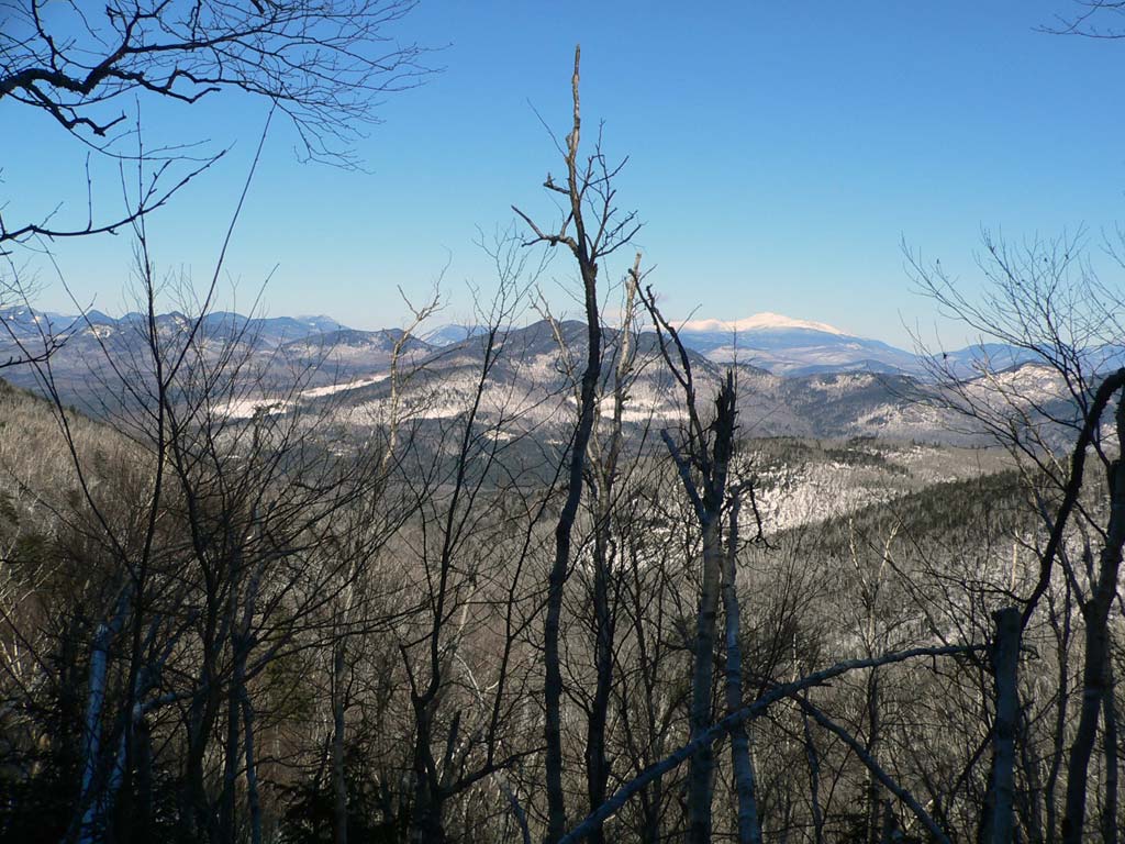 P1020910