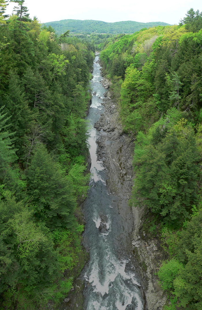 P1030774
