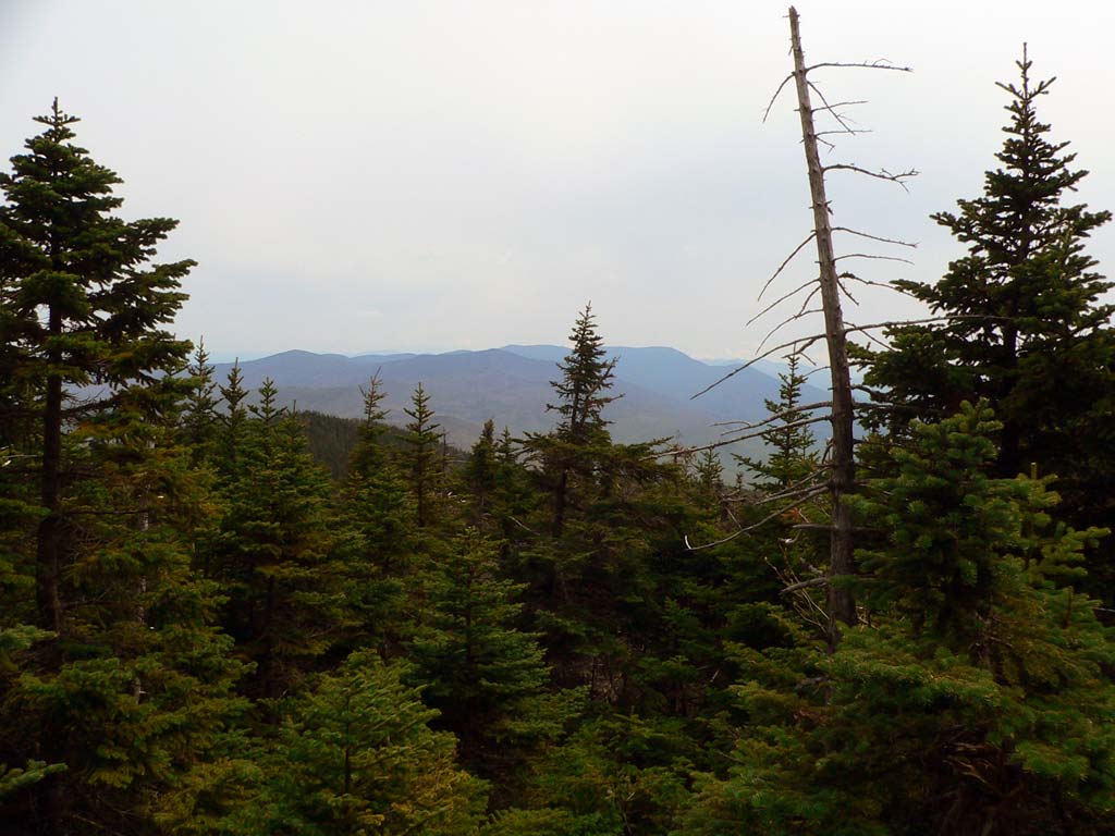 P1030789