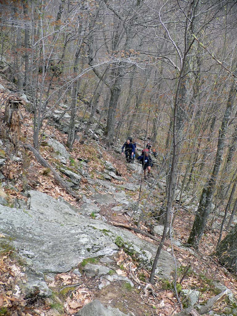 P1030638