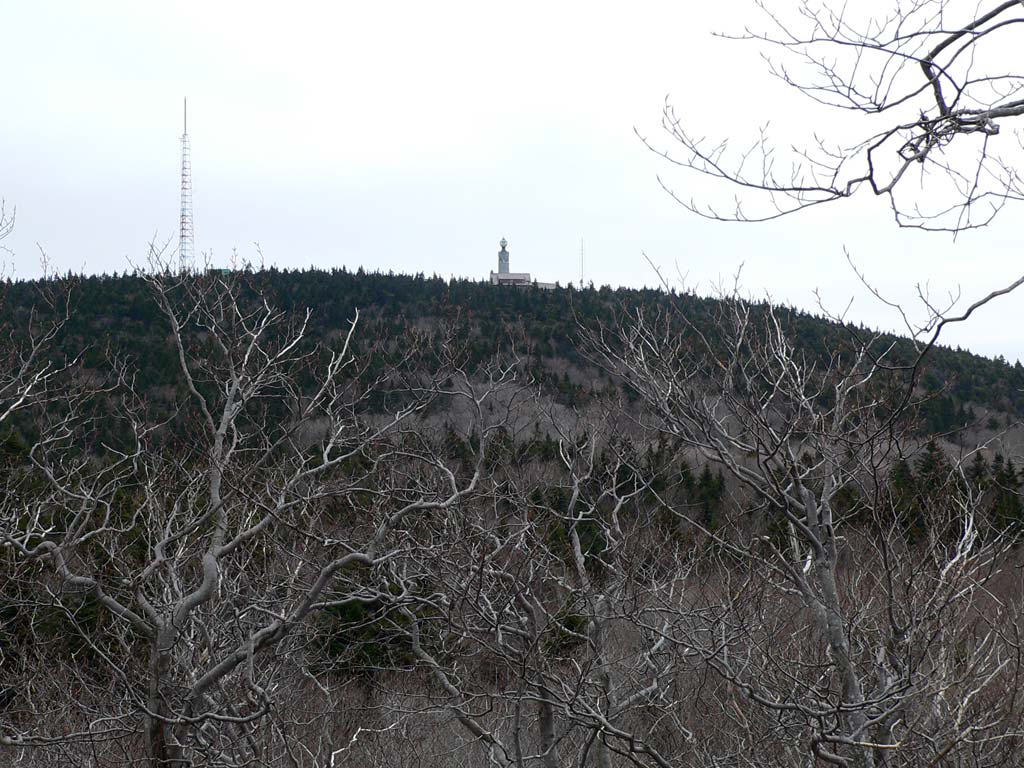 P1030686