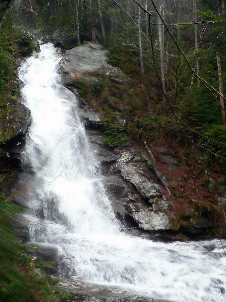 P1030766