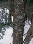 P1030375