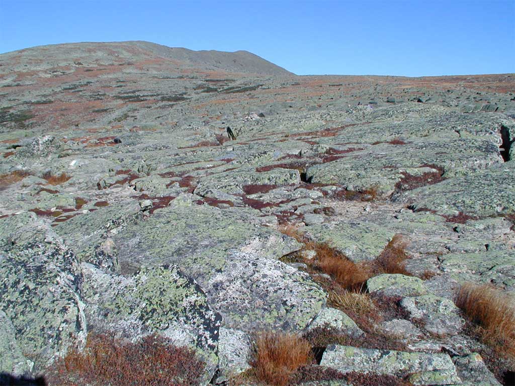 P9260267