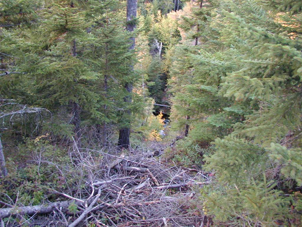 P9260310