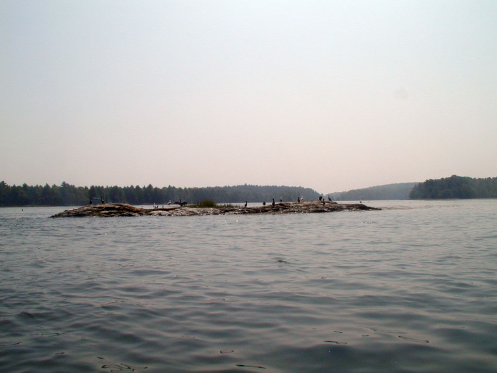 P8280108