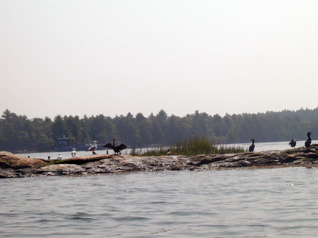 P8280109