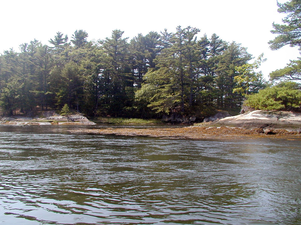 P8280114