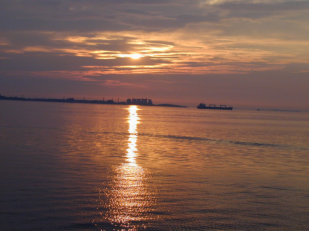 P8180087